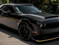 Custom Logo Reusable Shopping Bags Eco-Friendly Style