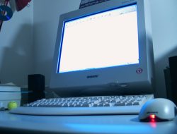 Computer Programs Near Me Find The Best Solutions Today