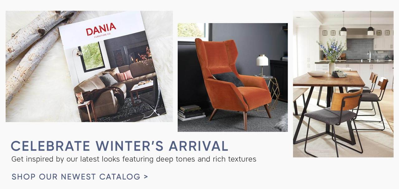 Dania Furniture