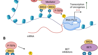 ESPN BET Logo Unveiled - ESPN Press Room U.S.