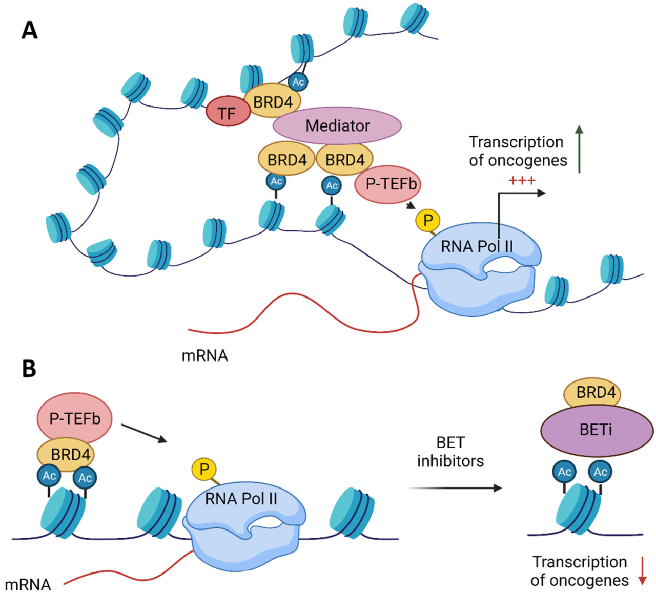 ESPN BET Logo Unveiled - ESPN Press Room U.S.