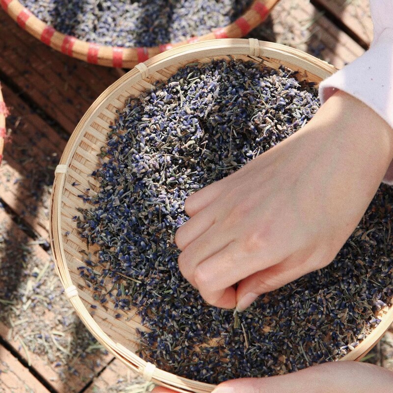 Culinary Lavender - Etsy Culinary Lavender - Etsy