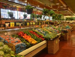 Grocery App Development Services For Your Business