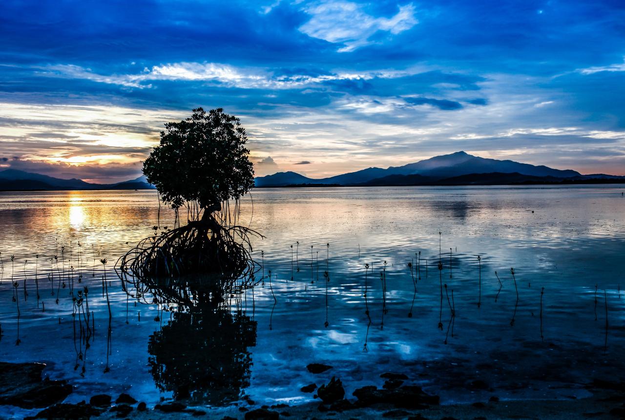 Free Images : sign, graffiti, spiritual, energy, cool image, fun ...