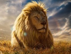 king game slot Unleashes Your Winning Potential