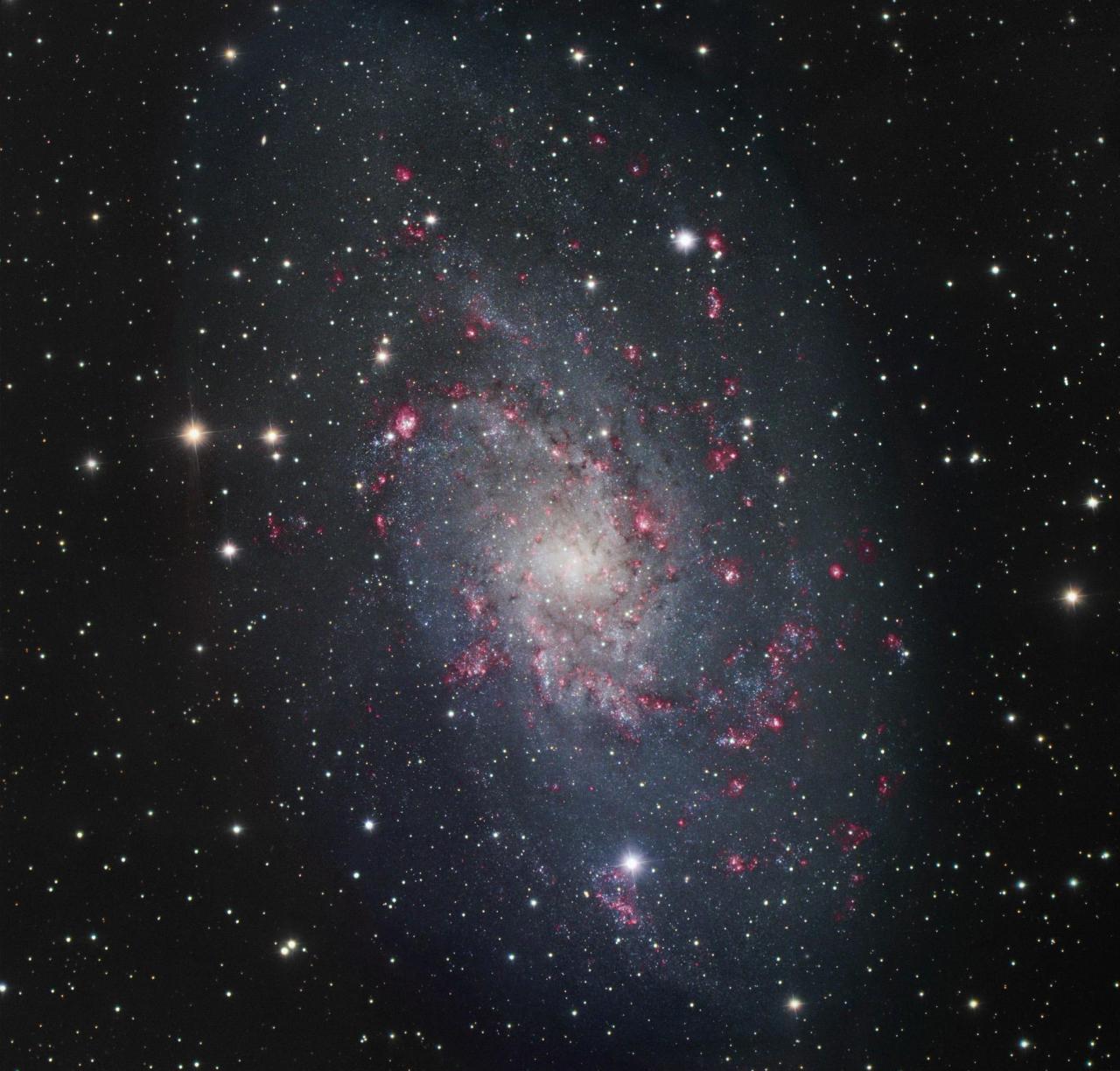 Inician protocolos para la liberación de nueve contratistas ... Inician protocolos para la liberación de nueve contratistas ...