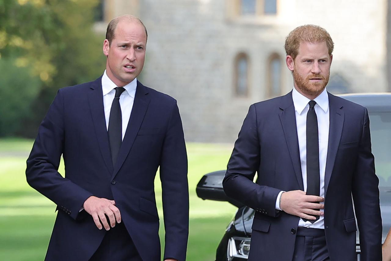 Prince Harry, Prince William Walk Together to Queen Elizabeth's Funeral