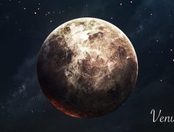 Venus Clothing Discount Code Unlock Incredible Savings