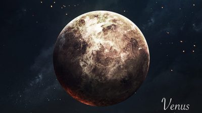 Venus Clothing Discount Code Unlock Incredible Savings