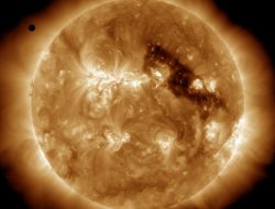 Venus Clothing Coupons Your Gateway To Savings