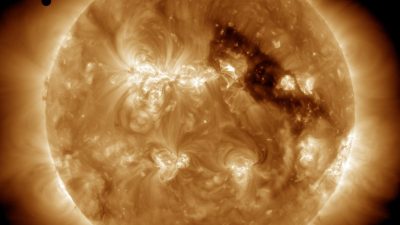 Venus Clothing Coupons Your Gateway To Savings