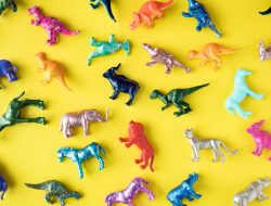 Get Auto Insurance Online Made Easy And Affordable