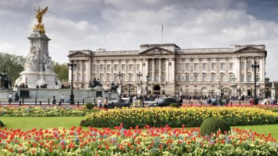 Palace Games Discount Code Exclusive Savings Await