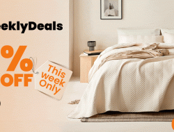 shein clothing on sale Discover Amazing Deals Today