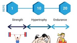 Rep. Steil holds town hall