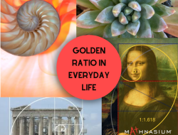 Golden Oak Disney Prices An Enchanting Investment