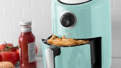 Top 10 Air Fryers of 2021 - Best Reviews Guide