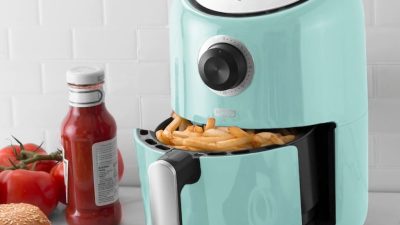 Top 10 Air Fryers of 2021 - Best Reviews Guide