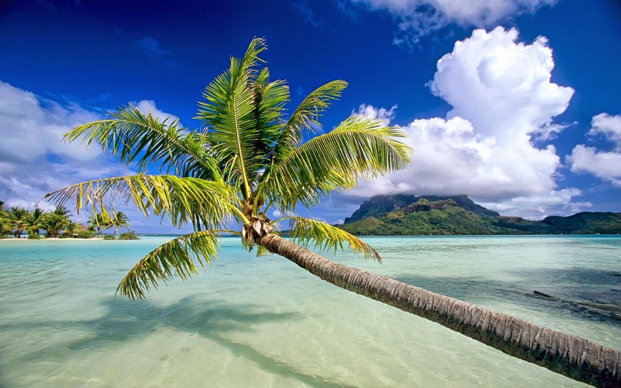 Beautiful Nature Wallpaper | PixelsTalk.Net