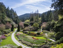 Beautiful Garden Near Me Discover Your Oasis Today