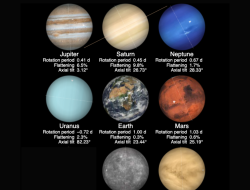 Planet beauty sale Unveiling Amazing Deals on Beauty