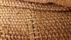 Royalty free bag photos free download | Piqsels