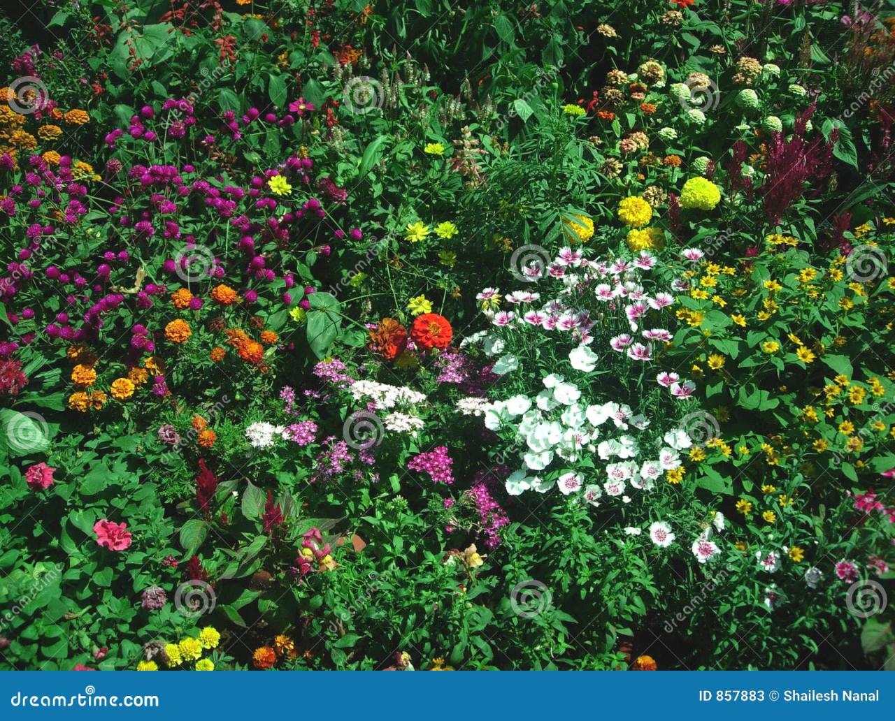 Beautiful Garden View stock image. Image of destiny, creativity - 857883