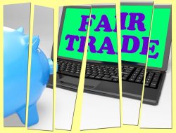 Where To Buy Crypto Coins Your Gateway To Digital Wealth