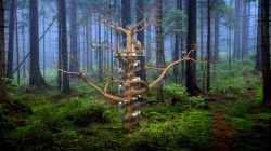 Ionarts: Branagh's Flute