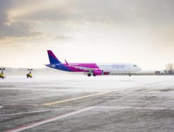 air fryer dehydrator oven Perfectly Crisped Flavors